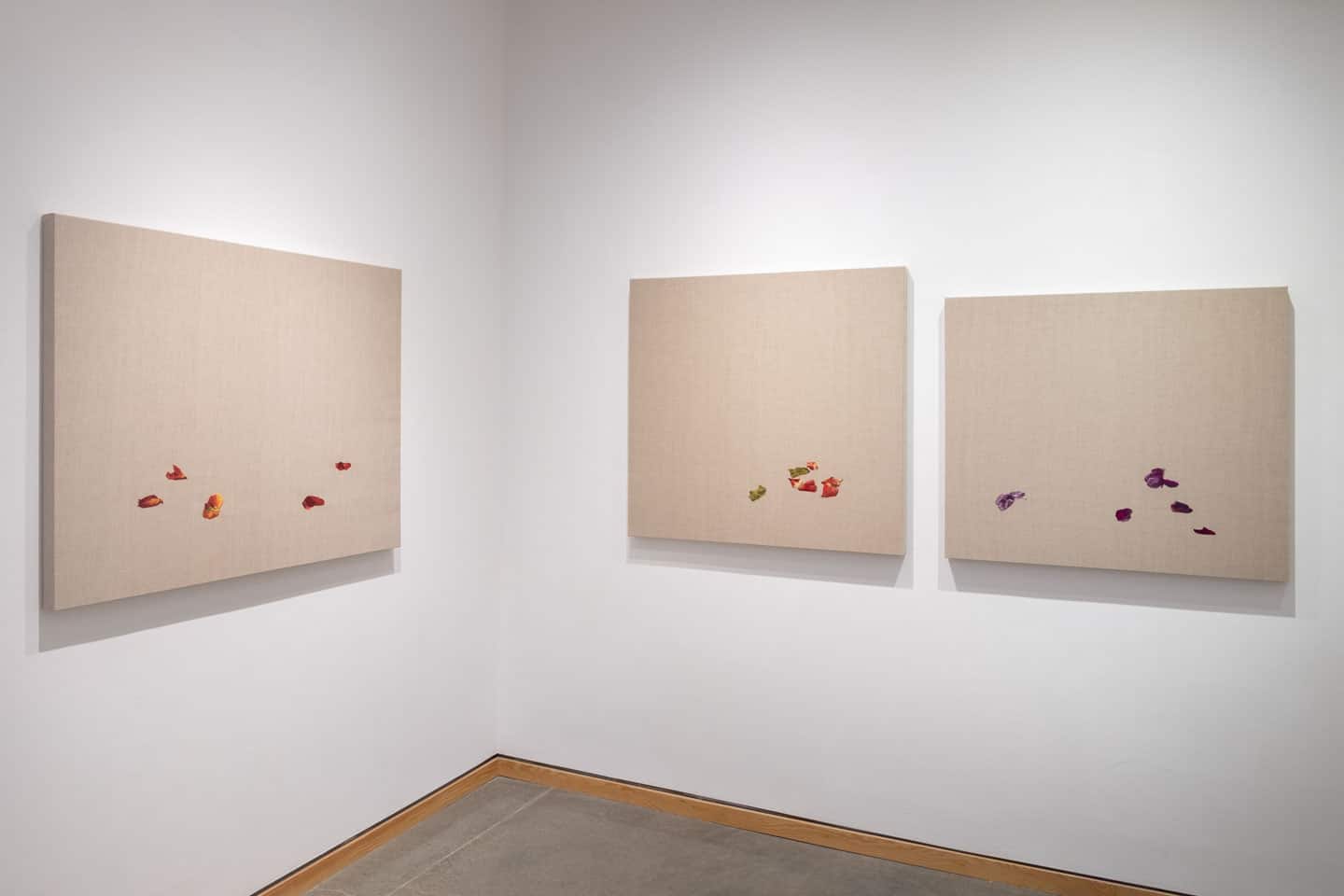 Almost, All At Once at Angell Gallery